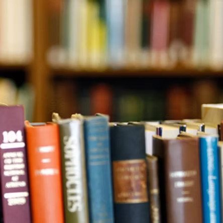 Row of books on a library shelf